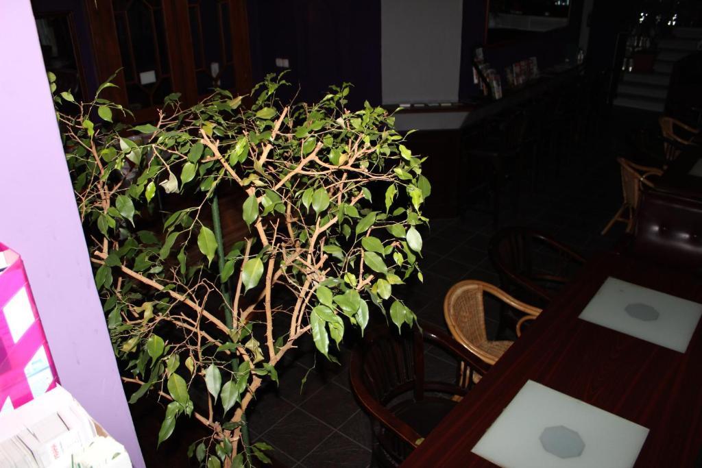 Club Hotel Praha Екстериор снимка